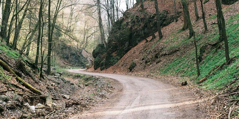 IPv6升级实战指南：破解网络架构转型难题，共享关键资源与工具