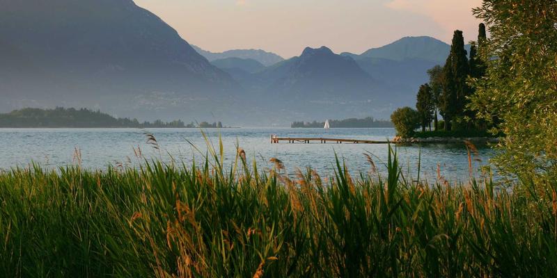 Wi-Fi 6深度赋能：解锁企业无线网络性能与安全性的双重飞跃