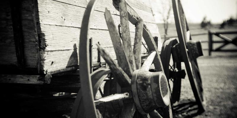 智能运维革命:如何利用AI与机器学习重塑网络自动化管理