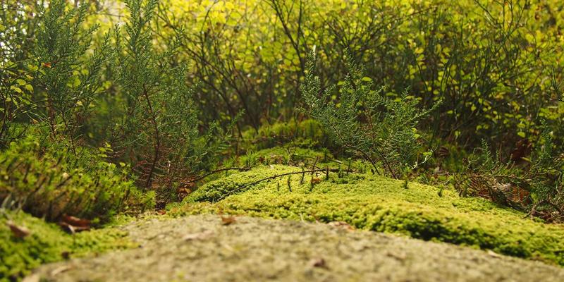 网络技术34:从编程新手到资源大师的实战进阶指南